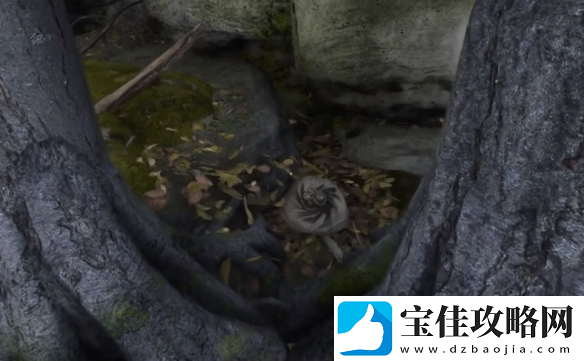 天国拯救2狮子纹章在哪里介绍