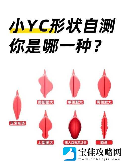 二十四种阴性外貌形状：探索女性之美的多元与独特呈现