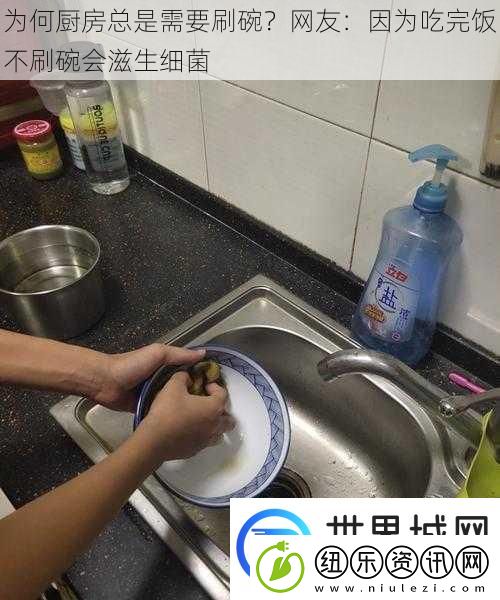 为何厨房总是需要刷碗-友：因为吃完饭不刷碗会滋生细菌