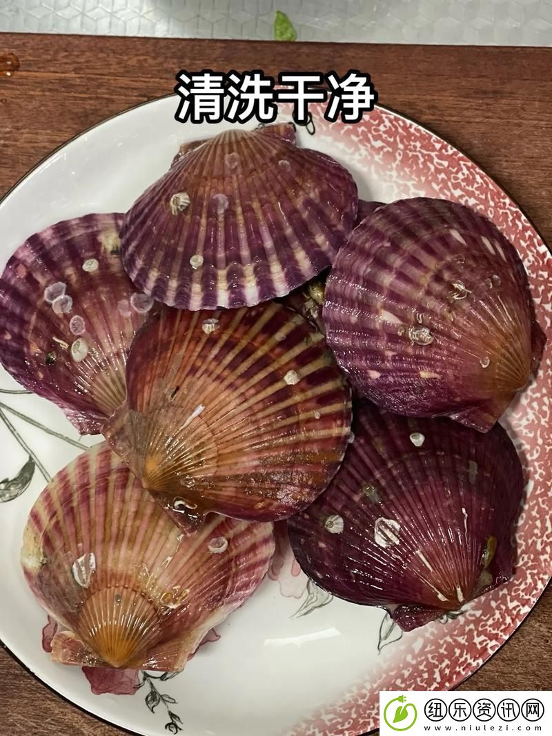 小东西你的扇贝都开张了：唤醒内心的梦想与勇气