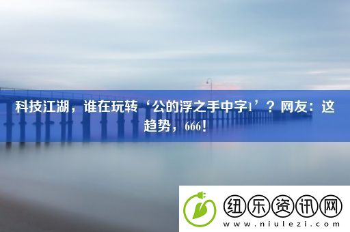 科技江湖-谁在玩转‘公的浮之手中字1’-网友：这趋势-666！