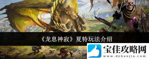 龙息神寂夏特玩法介绍