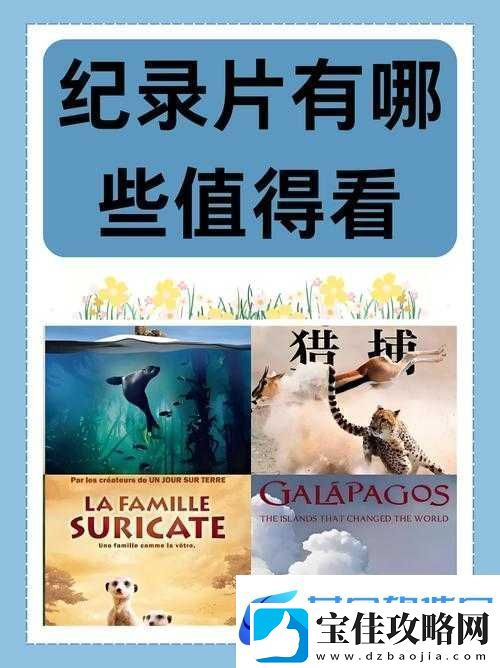 成片一卡二卡三卡观看