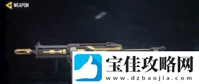 使命召唤手游冲锋枪HG40BlackGold天赋介绍