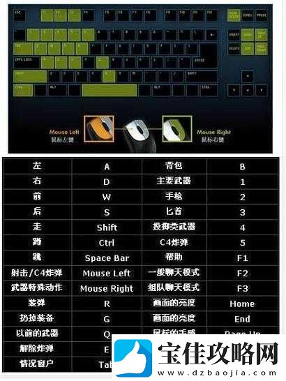创世纪-Creativerse游戏全面指南-各按键功能及详细操作技巧解析