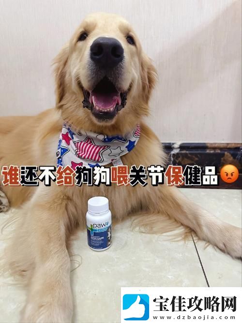 探索“人狗胶配方大全狗狗一”