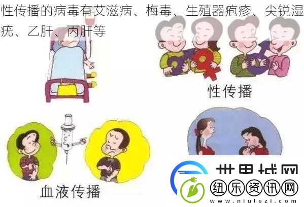 性传播的病毒有**病、**、**器疱疹、尖锐湿疣、乙肝、丙肝等