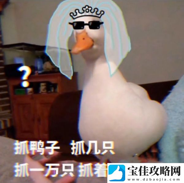抖音抓鸭子表情包分享