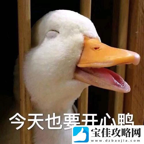 抖音抓鸭子表情包分享