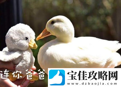 抖音抓鸭子表情包分享