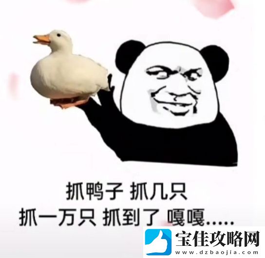 抖音抓鸭子表情包分享