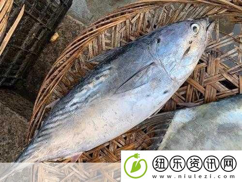 超级肉禽系统体验-1.-深入探索超级肉禽系统的独特体验