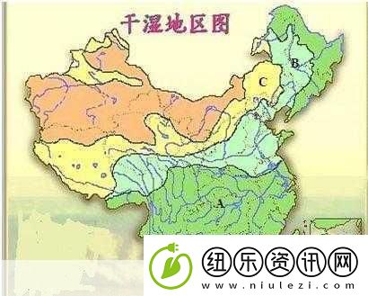 干湿你