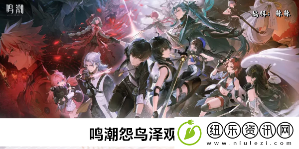 鸣潮怨鸟泽观景点位置