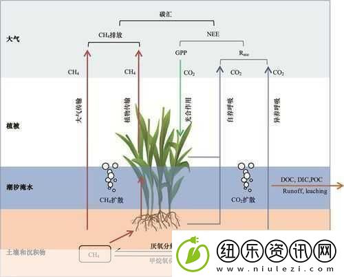 干湿你