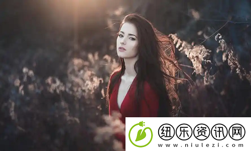 四虎网站能否继续运营