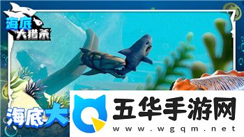 网易永劫无间怎么看帧数显示的掌握游戏帧数显示的正确方法与技巧